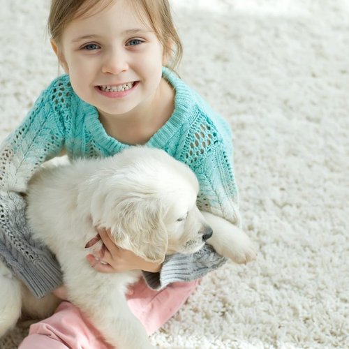 girl and her puppy playing on the white carpet from Choo Carpets & Floor Coverings, Inc. in Chattanooga, TN