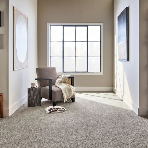 brown carpet floor from Choo Carpets & Floor Coverings, Inc. in Chattanooga, TN